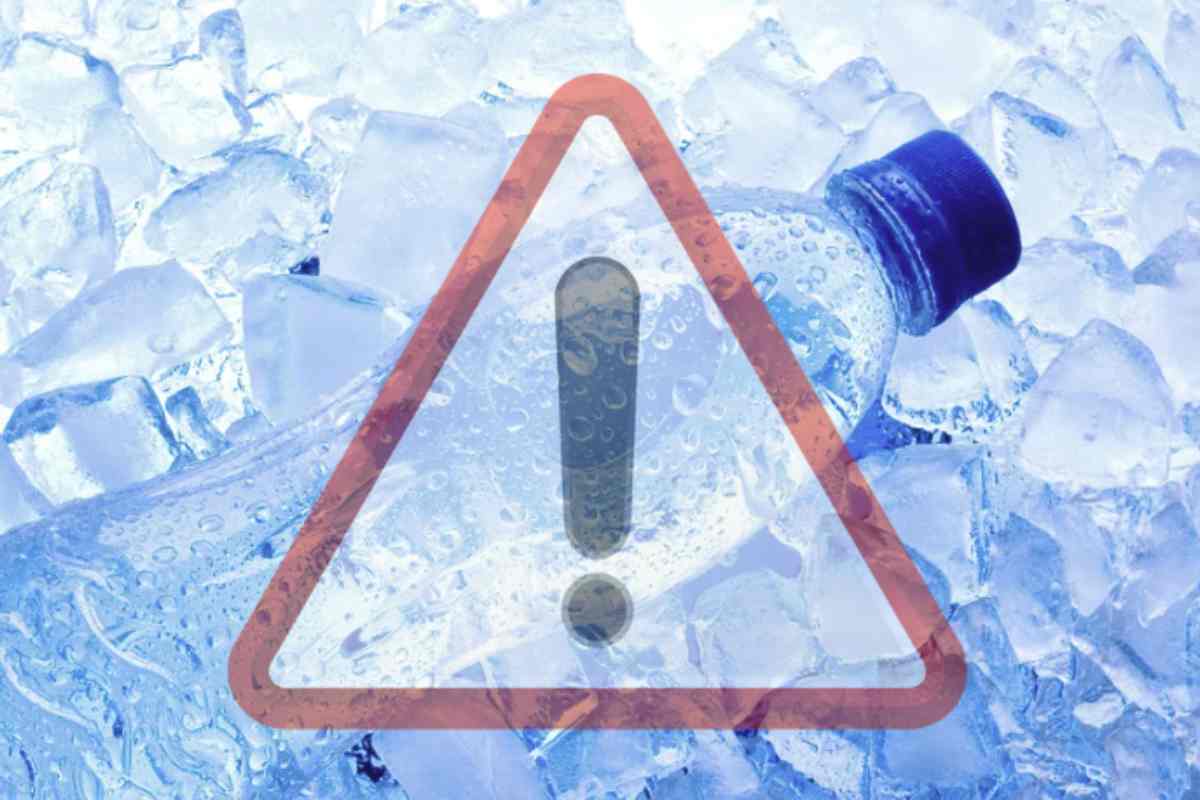 Un recente studio condotto dalla Concordia University, pubblicato sul Journal of Hazardous Materials, ha confermato come chi consuma