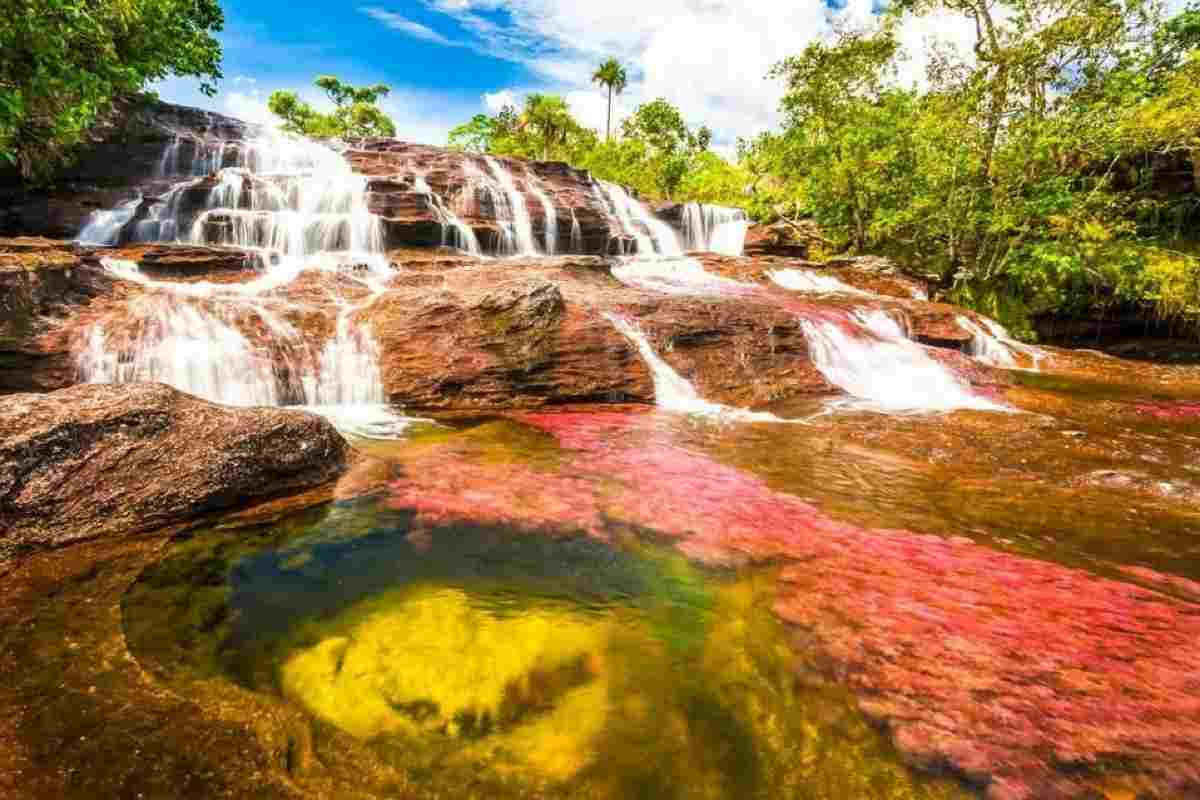 Cano Cristales
