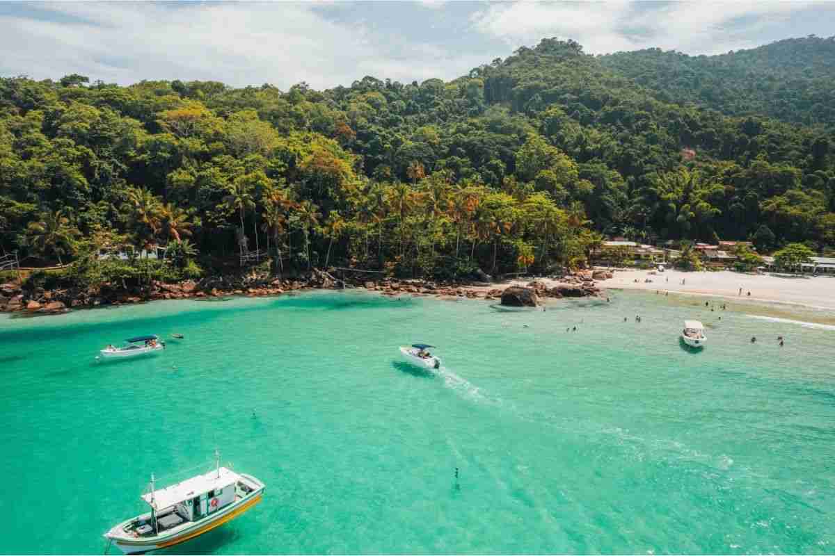 Isola delle formiche 