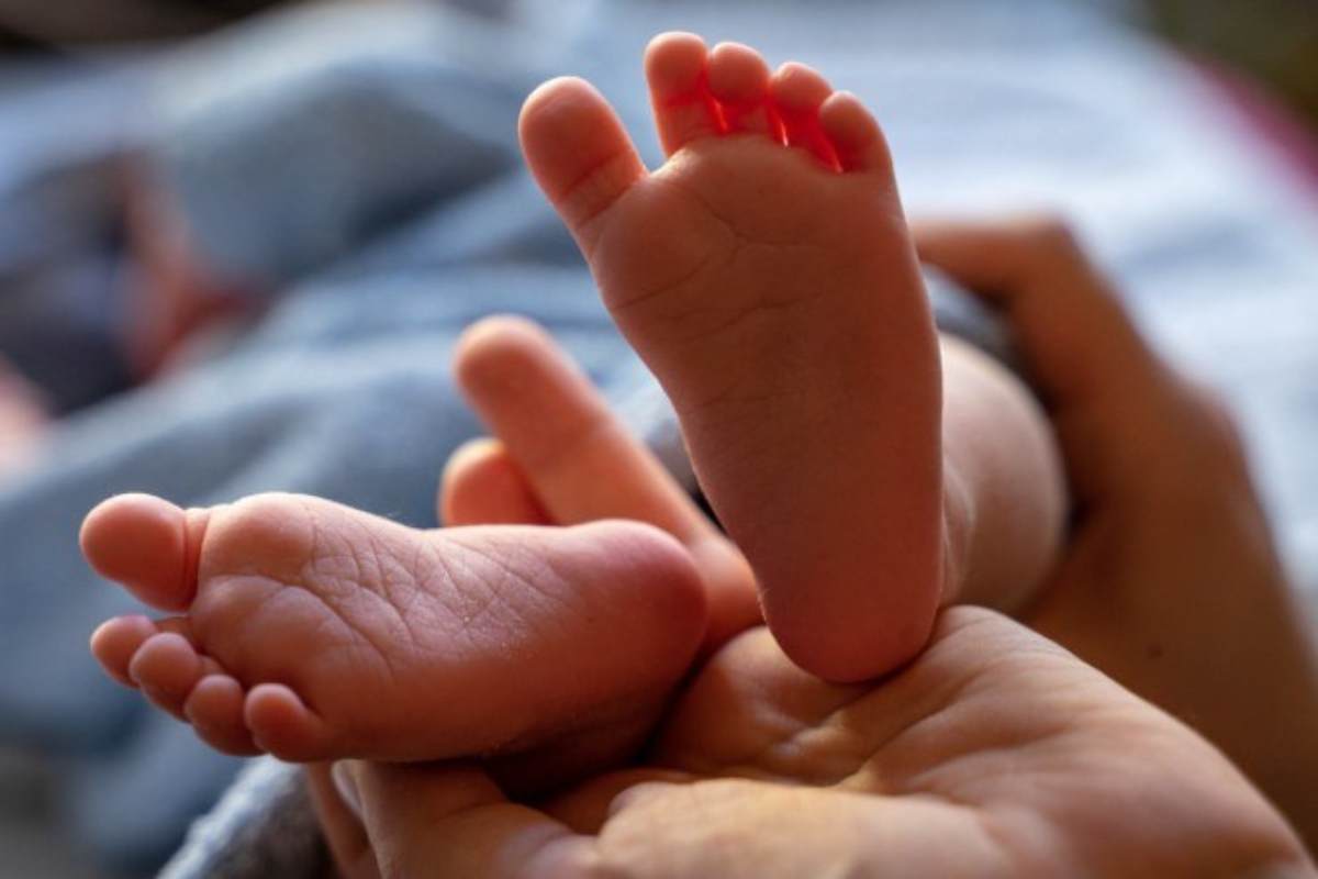 Calo delle nascite, Italia