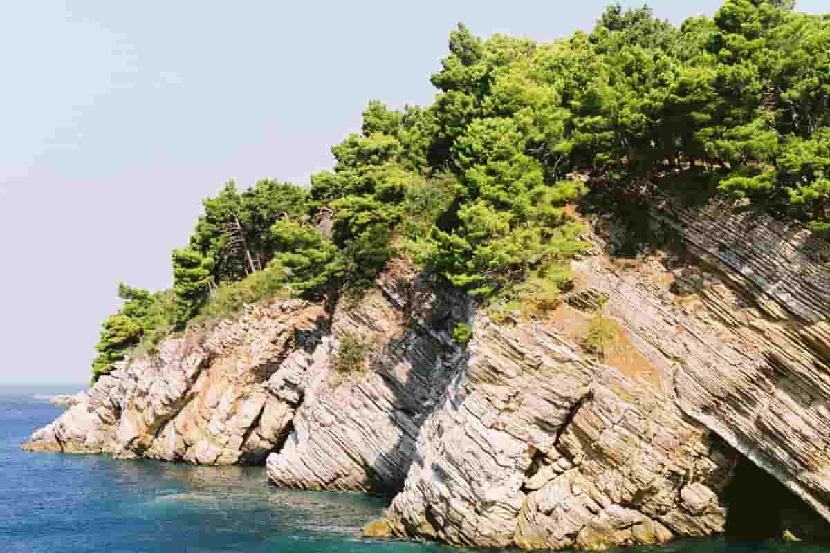 isola dei conigli contro stress e ansia