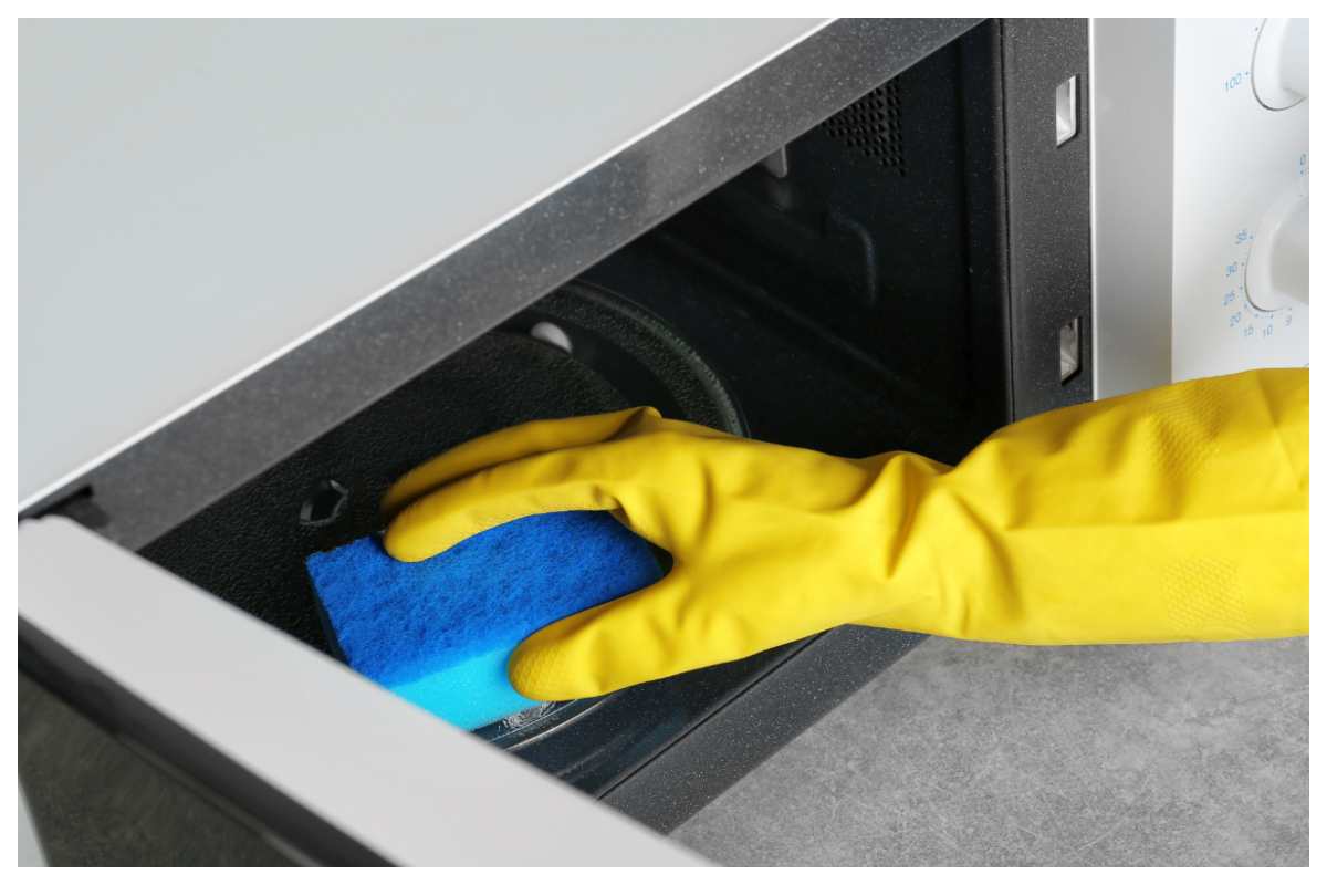 spugne sporche puliscile così