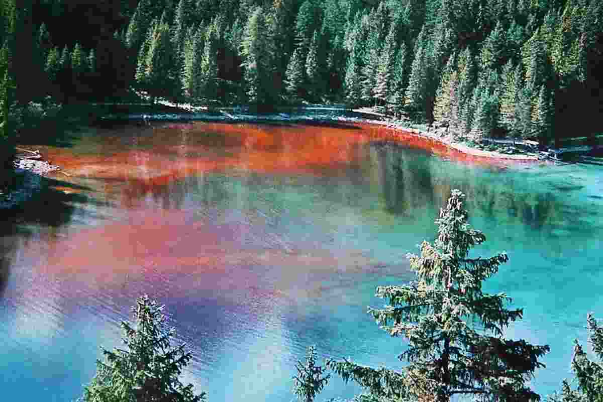 lago tovel dove si trova