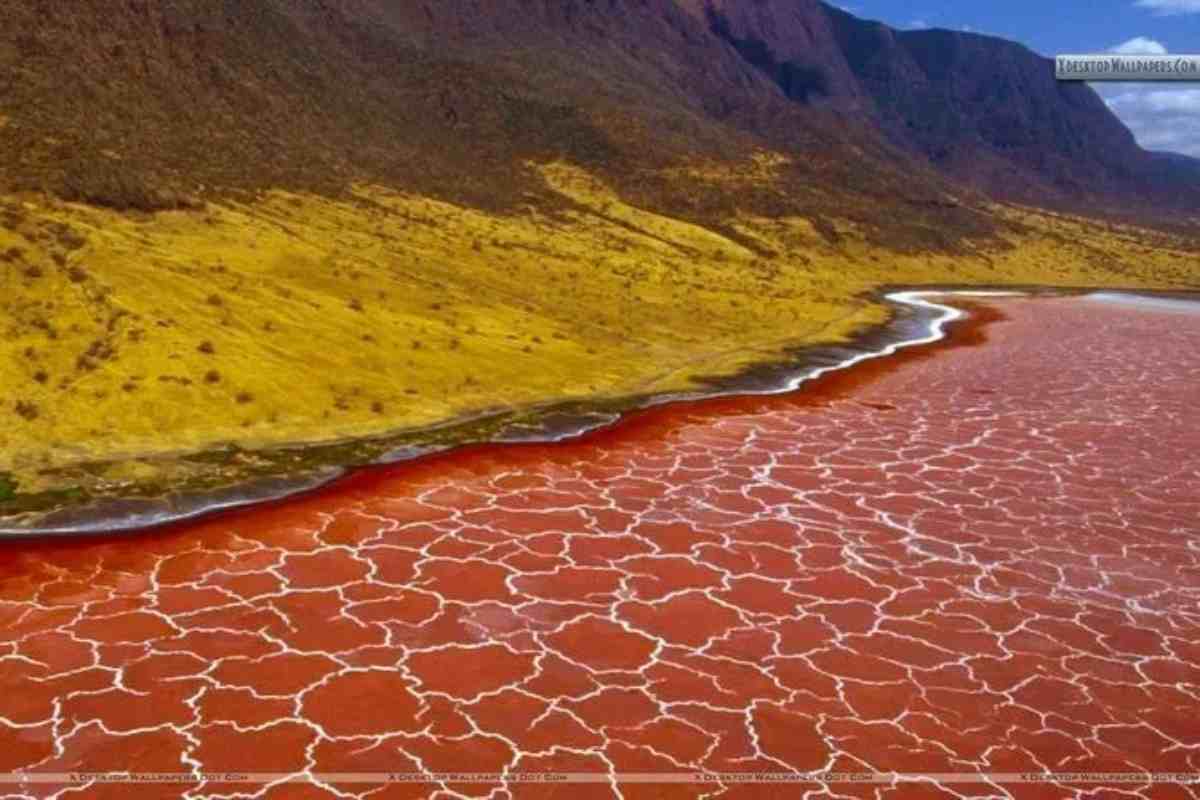 Lago di Natron Ilmiogirointornoalmondo.it